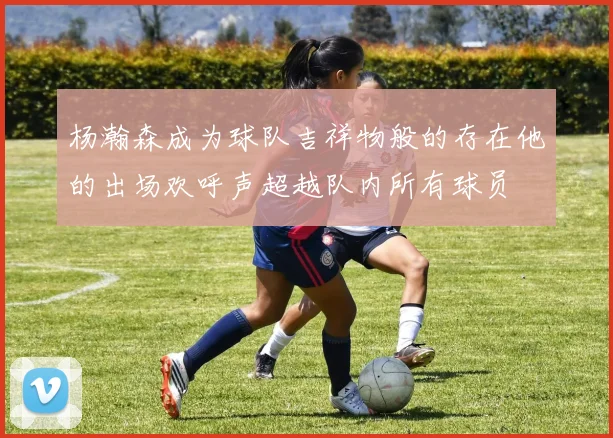 杨瀚森成为球队吉祥物般的存在他的出场欢呼声超越队内所有球员
