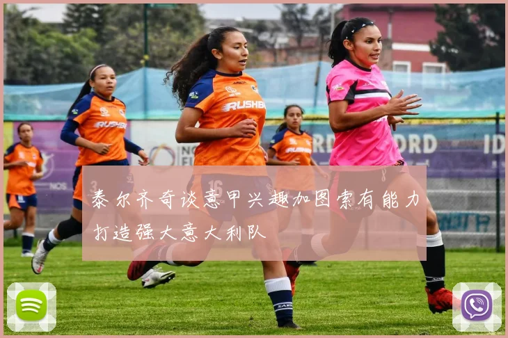 泰尔齐奇谈意甲兴趣加图索有能力打造强大意大利队